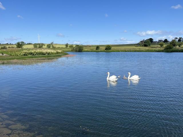 Land for sale in Gillingshill, Scotland