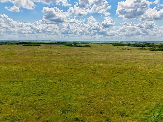 Land for sale in Oldcastle, Ontario