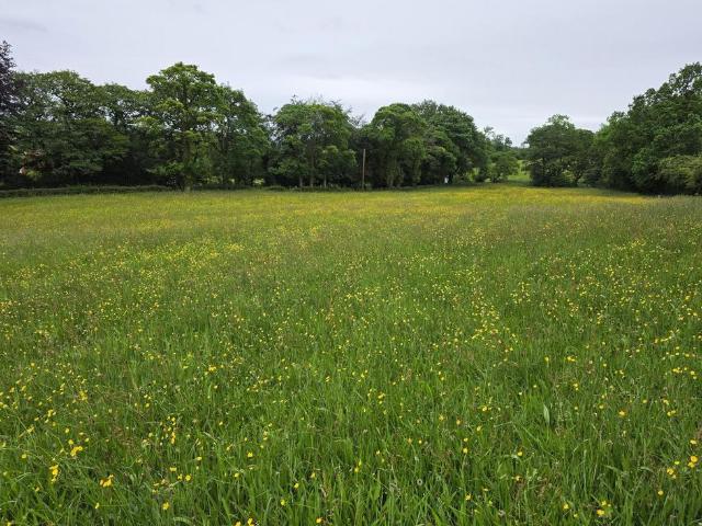 Land for sale in Endon and Stanley, Kingsley Moor
