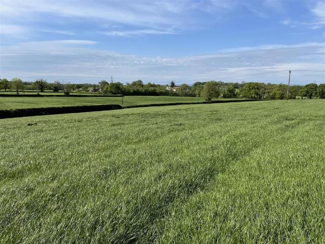 Land for sale in Budlake, Devon