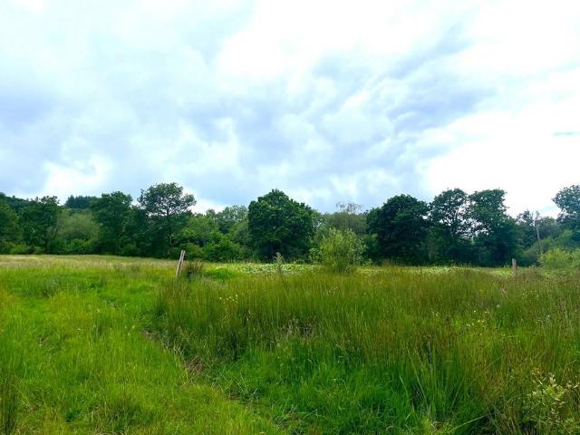 Land for sale in Cwmamman, Glanaman