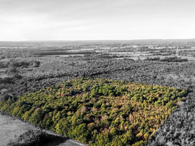 Land for sale in Laughton, Wealden
