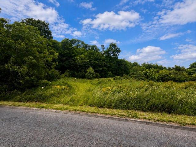 Land for sale in Silverbuthall, Ashkirk