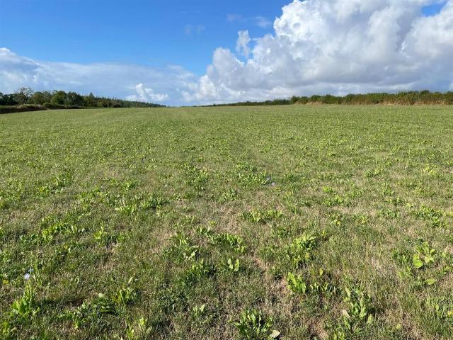 Land for sale in Lamellion, Cornwall