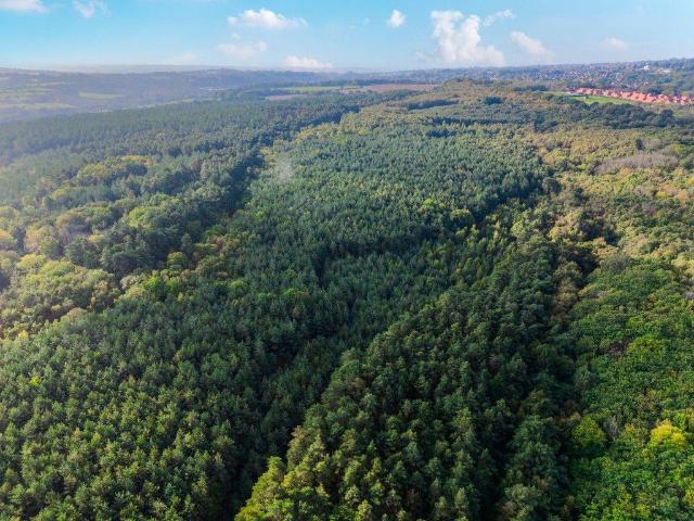 Land for sale in Boarshead, Wealden