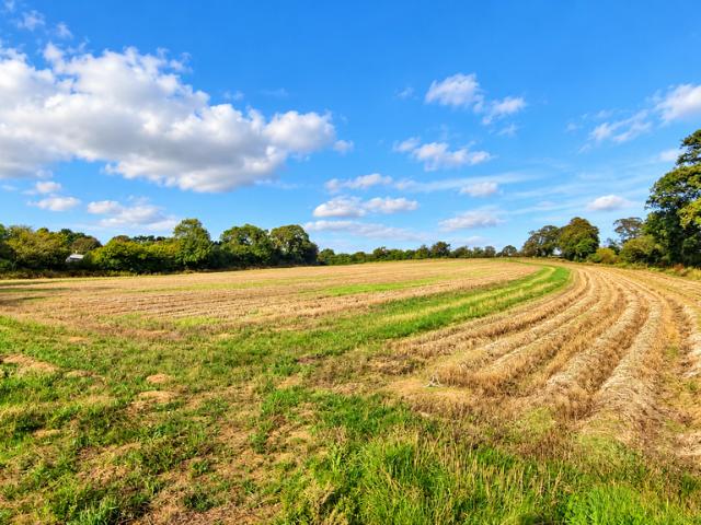 Land for sale in Angarrick, Mylor Bridge