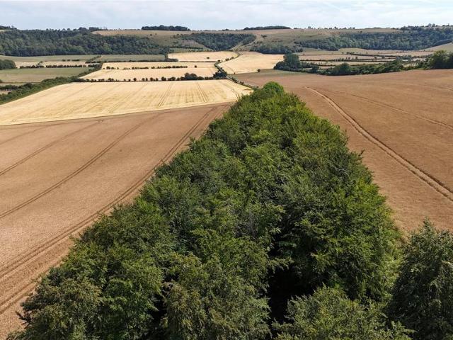 Land for sale in Wiltshire