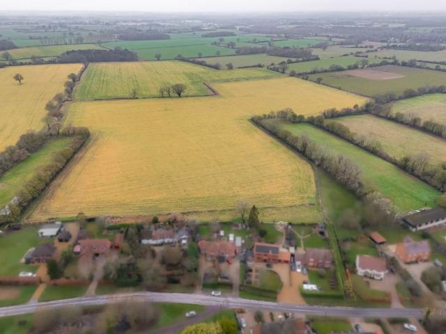 Land for sale in Morningthorpe and Fritton, Burgh St Peter