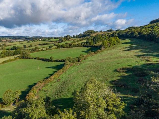 Land for sale in Widworthy, Budlake
