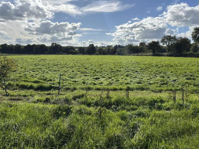 Land for sale in Uttoxeter Rural, East Staffordshire