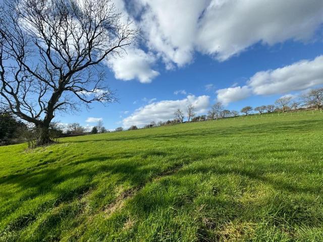 Land for sale in Llanblethian, Cowbridge