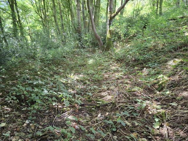 Land for sale in Froggatt, East Midlands
