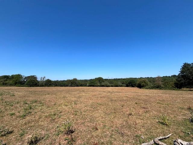 Land for sale in Cackle Street, Heathlands