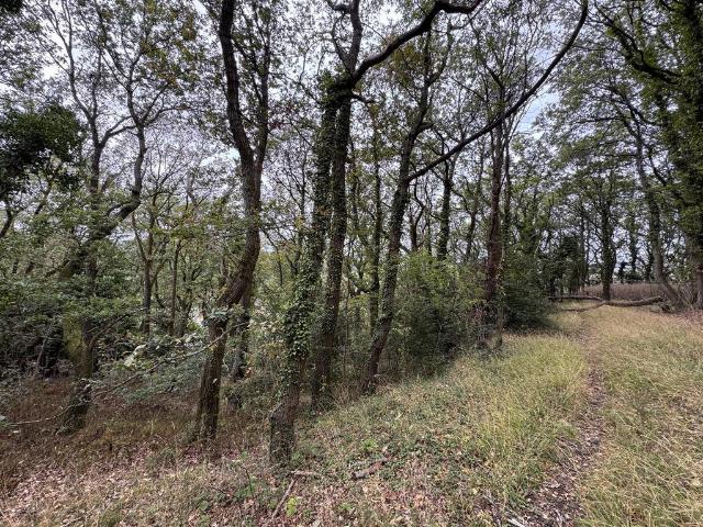 Land for sale in Snailbeach, Shropshire