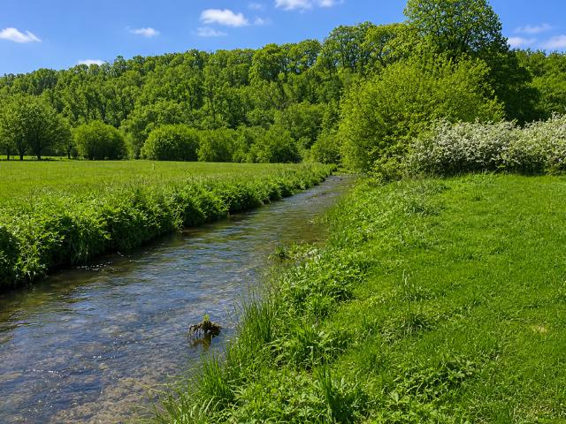 Land for sale in Biddestone, Hartham