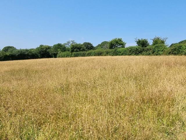 Land for sale in Trehaddle, Frogpool