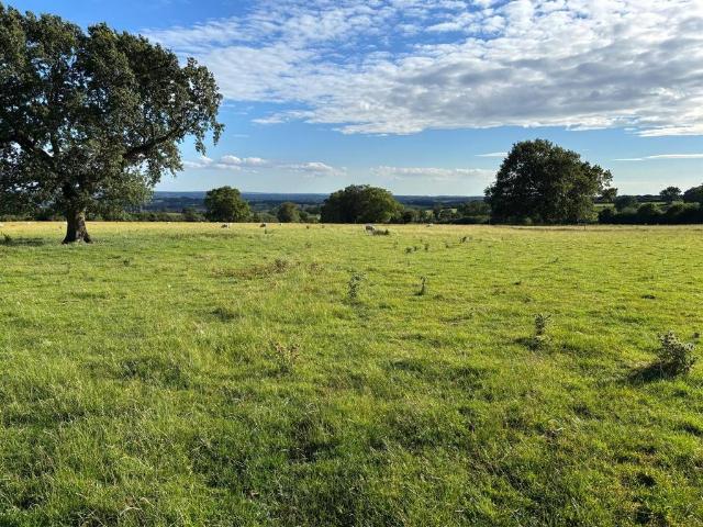 Land for sale in Beamhurst, Staffordshire