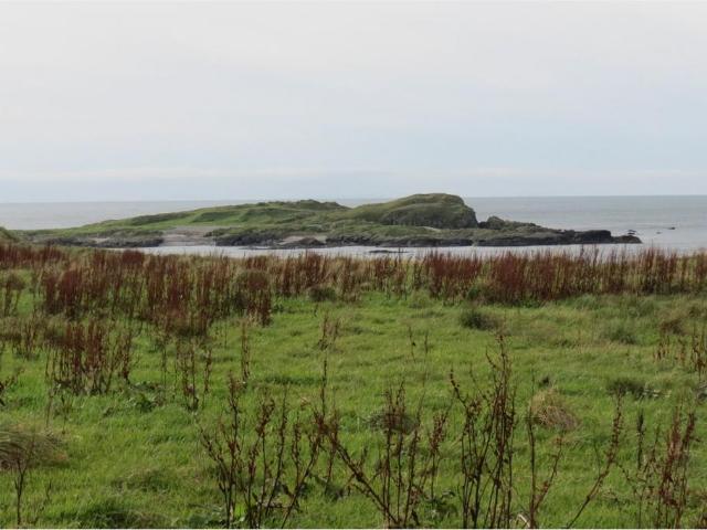 Land for sale in Portnahaven, Scotland