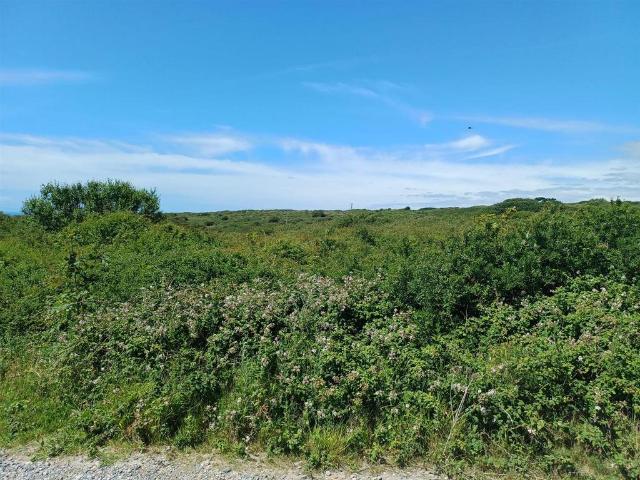Land for sale in Iford, East Sussex