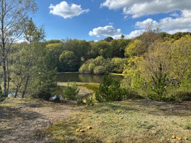 Land for sale in Bwlchgwyn, Wales