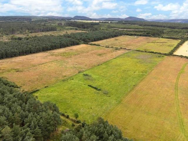 Land for sale in Embo, Scotland