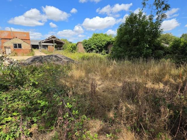Land for sale in Burgh St Peter, Norfolk