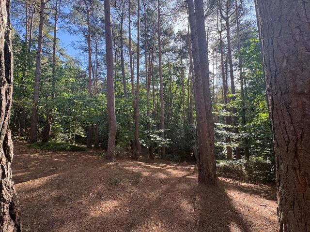 Land for sale in Wrecclesham, Fole