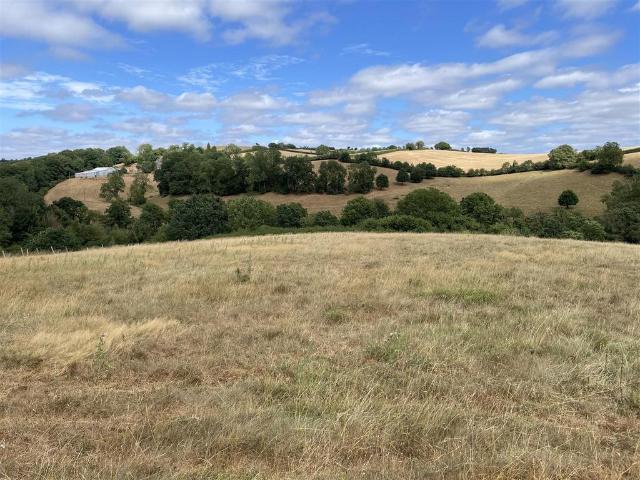 Land for sale in Newton St Cyres, Devon