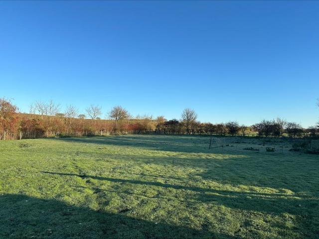 Land for sale in Burgh St Peter, Norfolk