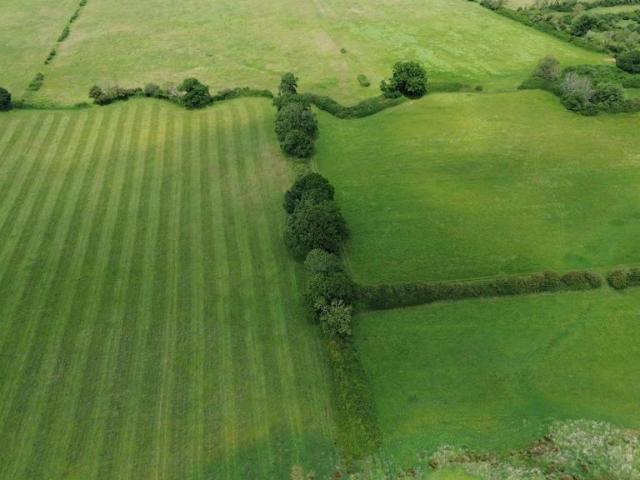 Land for sale in Corfe Mullen