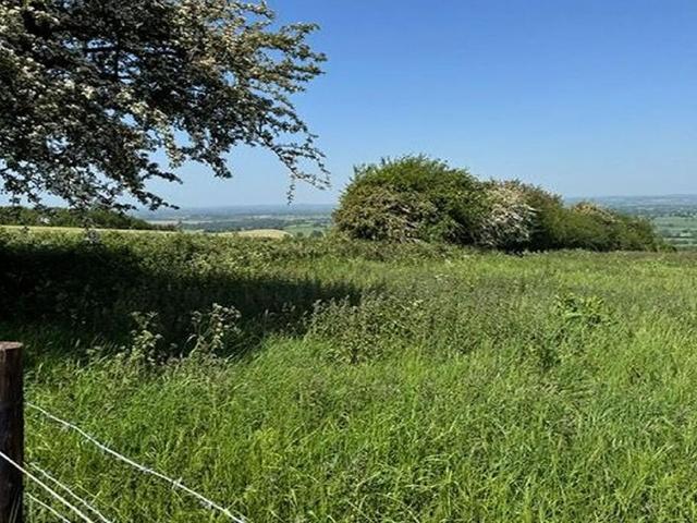 Land for sale in East Dorset