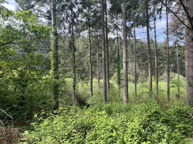 Land for sale in Watergate, Devon