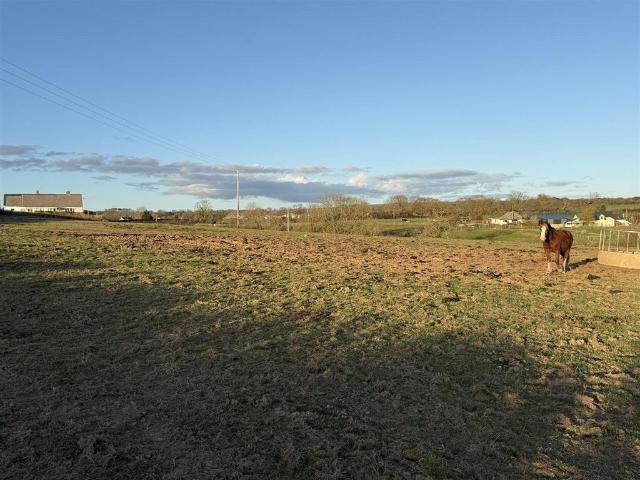 Land for sale in Eglwyswrw, Wales