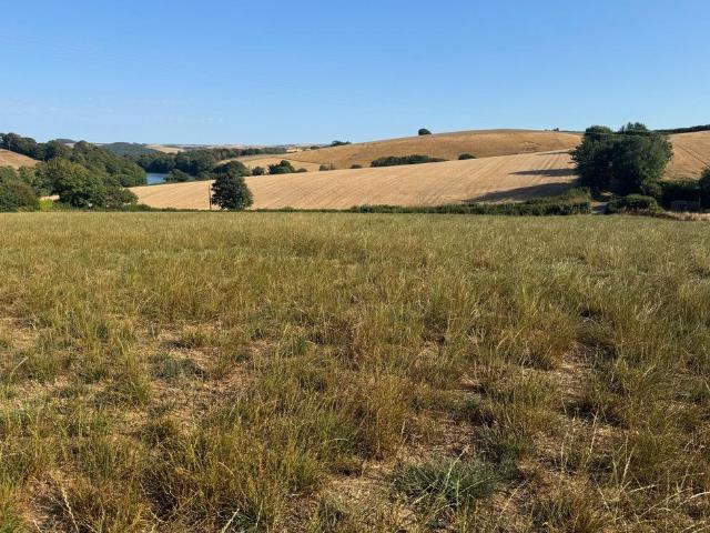 Land for sale in Collapit, South Hams
