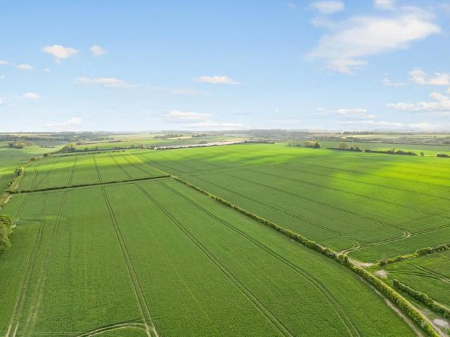 Land for sale in Ripple, Ash