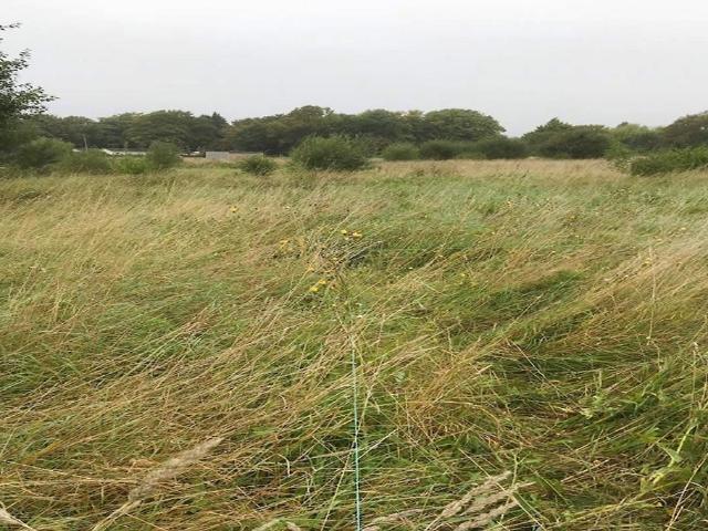 Land for sale in Horsham, West Sussex