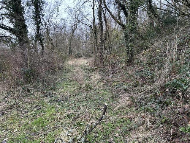 Land for sale in Rhydycroesau, Shropshire