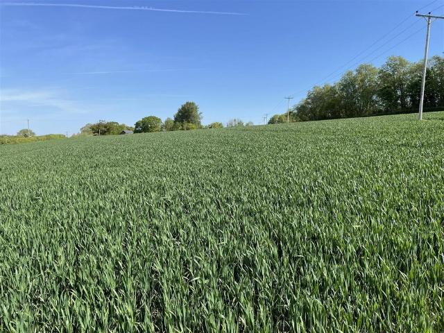 Land for sale in Budlake, Devon