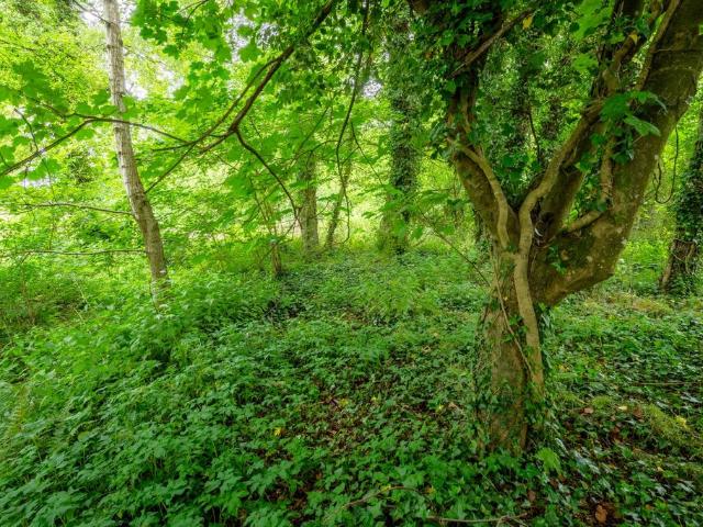 Land for sale in Kentisbury, Devon