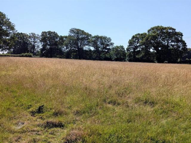 Land for sale in Closworth, East Coker