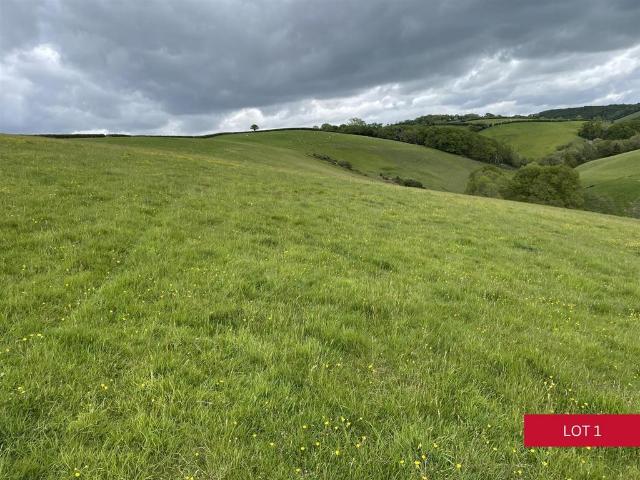 Land for sale in Bridford, Devon