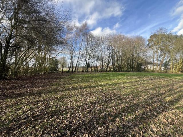 Land for sale in Chelmondiston, Suffolk