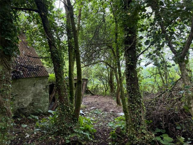 Land for sale in Tideford Cross, Cornwall