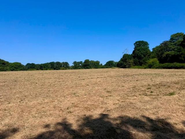 Land for sale in Crabtree, Horsham