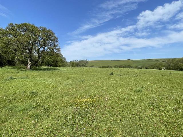 Land for sale in Brandis Corner, Devon