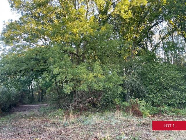 Land for sale in Kerswell, East Devon