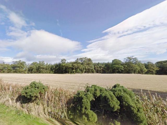 Land for sale in Dunning, Scotland