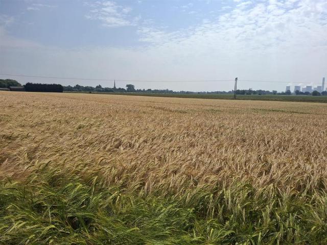 Land for sale in Cliffe, North Yorkshire