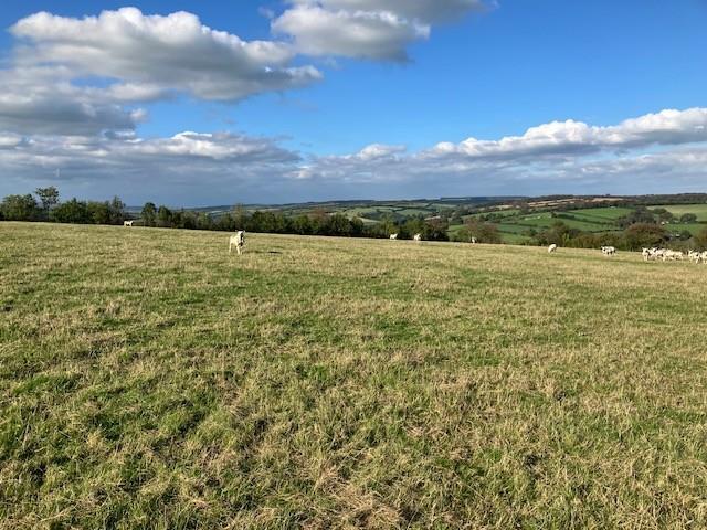 Land for sale in Dulverton, Somerset