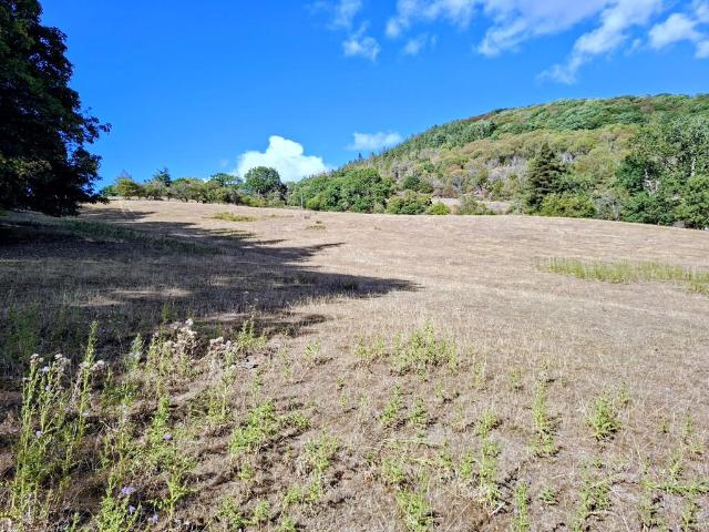 Land for sale in Trewern, Wales